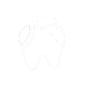 Diagram of parts of tooth icon